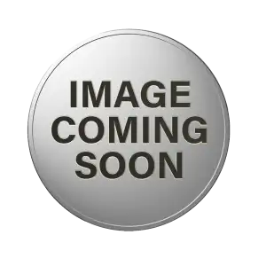 5g Saraswati Silver Coin
